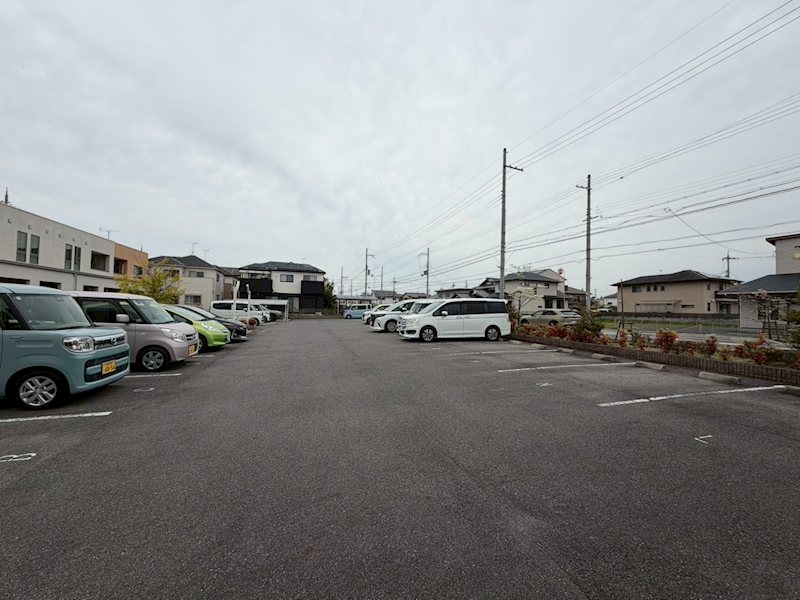 アルバ その他1