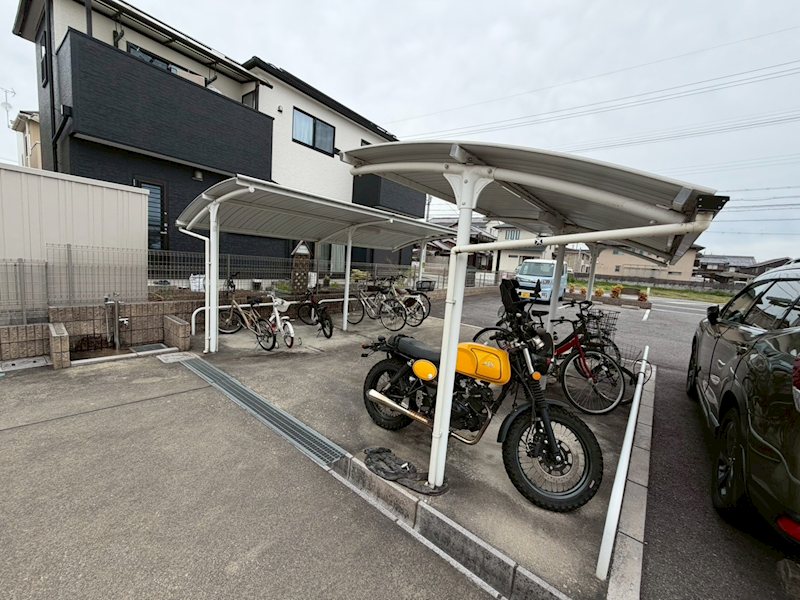 アルバ その他2