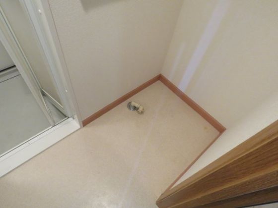 ジャルダンドゥトゥルヌスゥル その他3