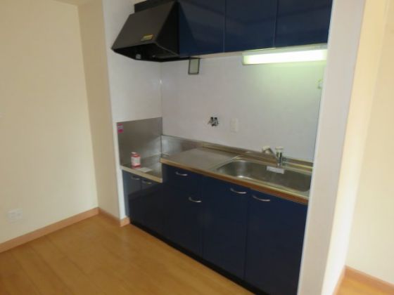 ジャルダンドゥトゥルヌスゥル キッチン