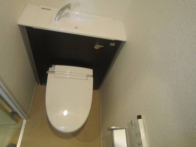 セルフィール その他2