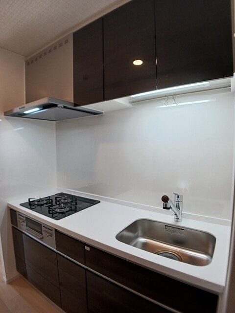 ラクーン守山 キッチン