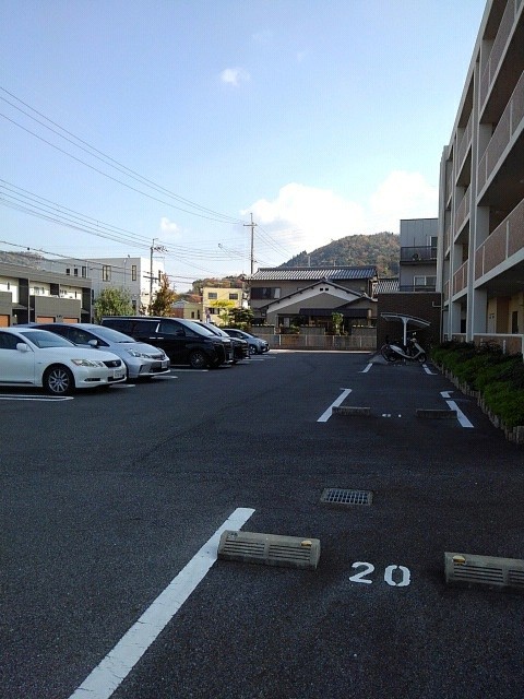 Ｅｖｅｒ　Ｇｒｅｅｎ　Ｆｕｊｉ その他4