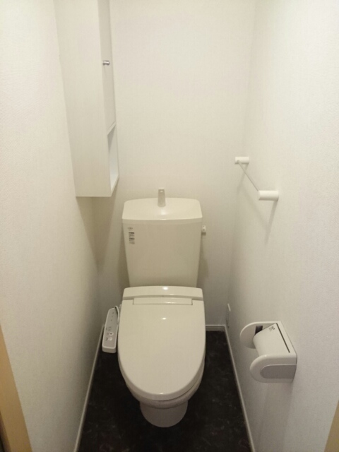 プラシード その他3