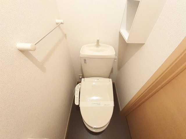 プラシード その他2