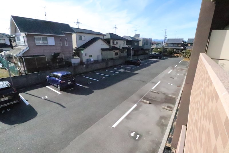 ダンデライオン その他1