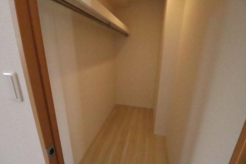 ダンデライオン その他4