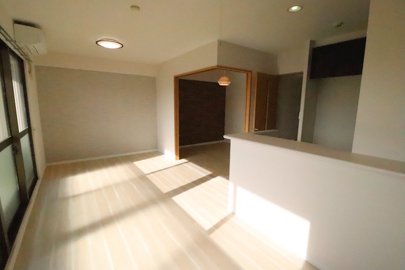 ダンデライオン その他7