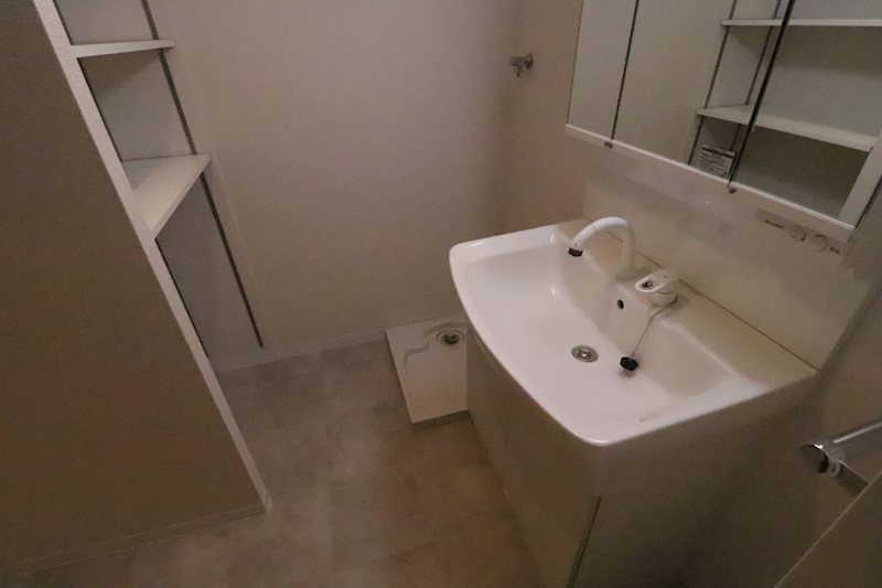 ダンデライオン その他8