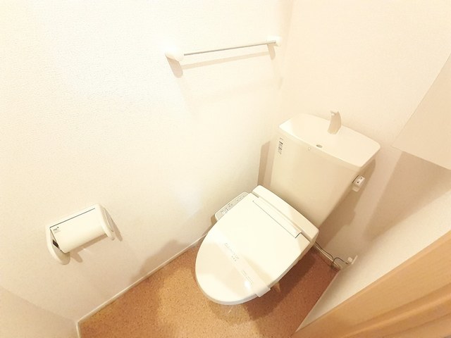 カルムオウミ その他2