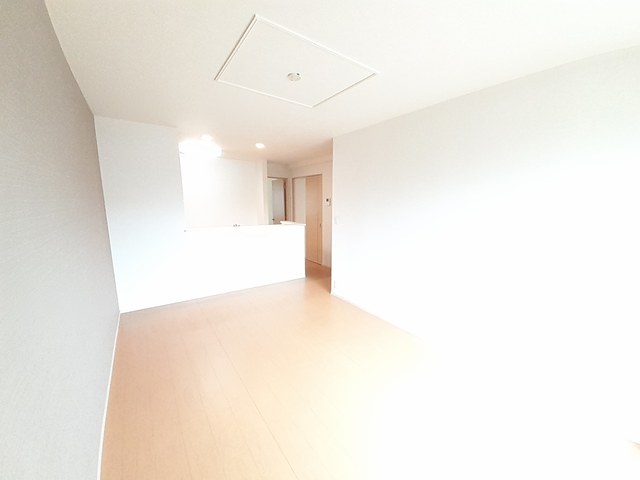 カルムオウミ その他7