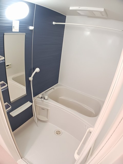 アーラ・ピッコロ 風呂画像