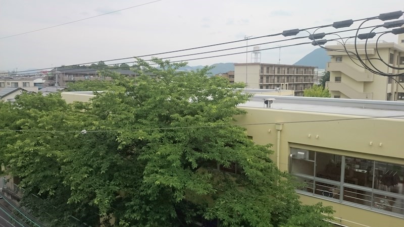 プチフルール千 その他2