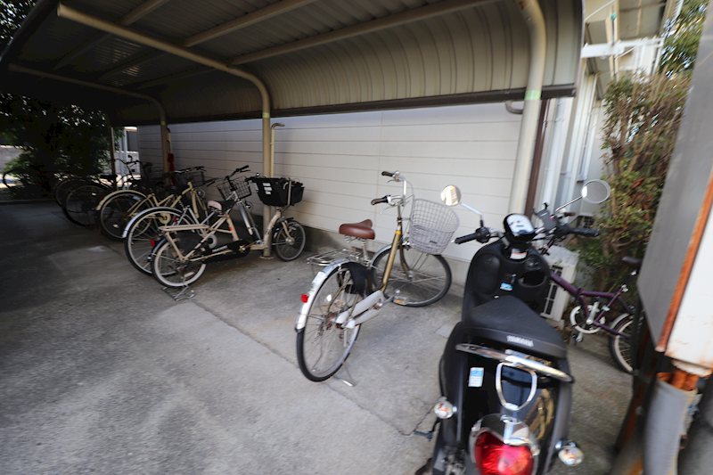 タウニー その他2