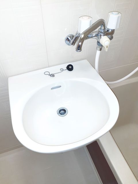 エルデムサワ その他1