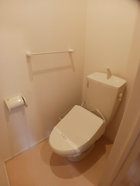 ラズベリー　ドリーム その他2