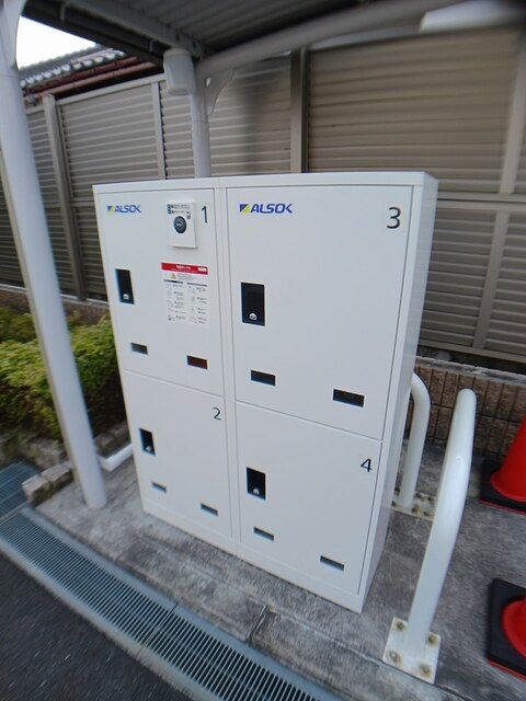 ラズベリー　ドリーム その他7