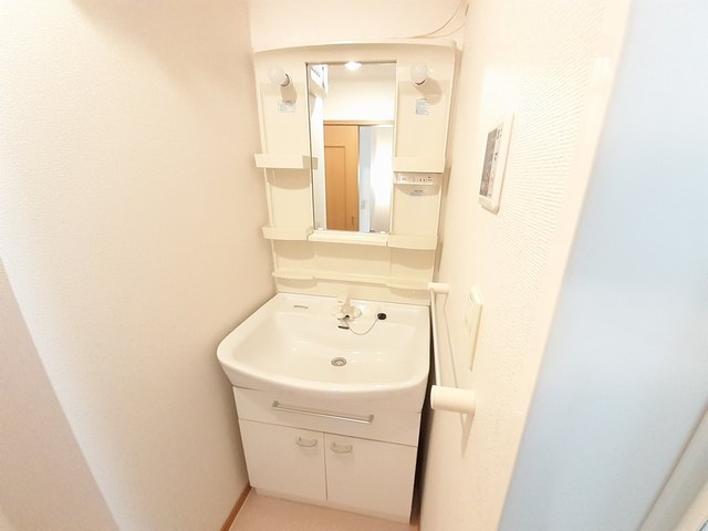 向日葵 その他1