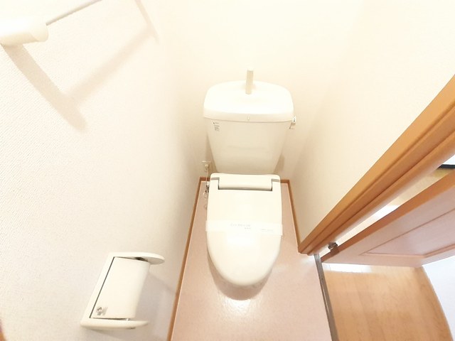 向日葵 その他2