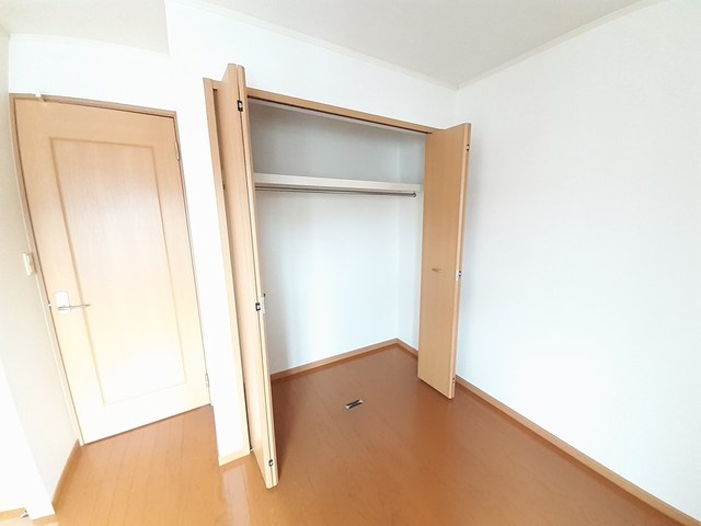 向日葵 その他3