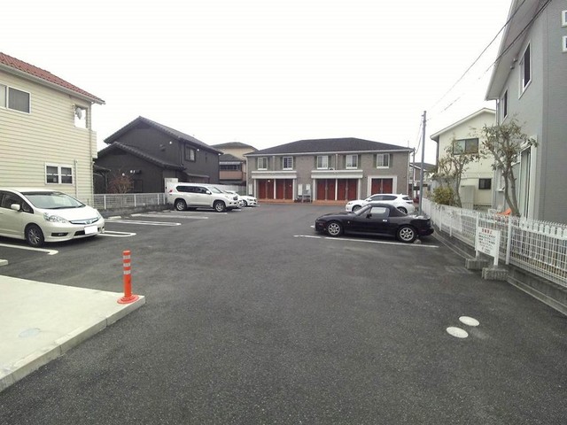 向日葵 その他4