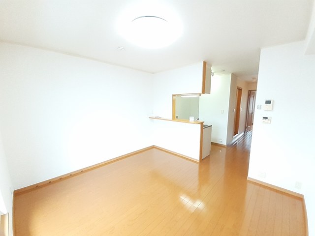 向日葵 その他7