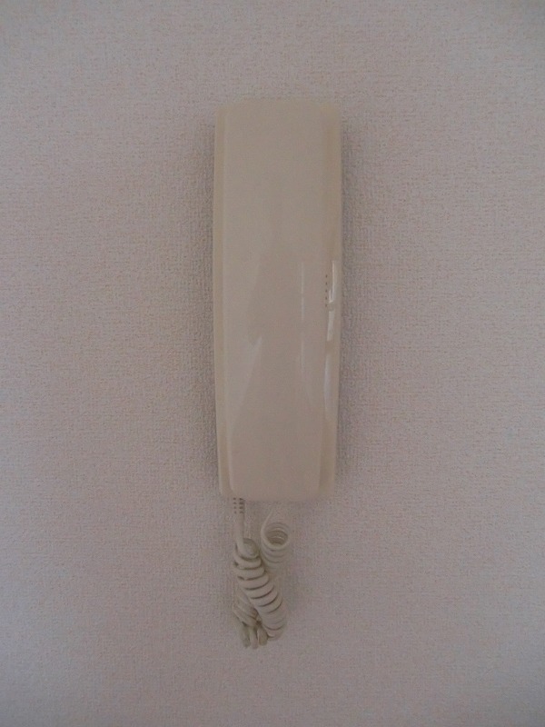 コモド・カーサ その他8