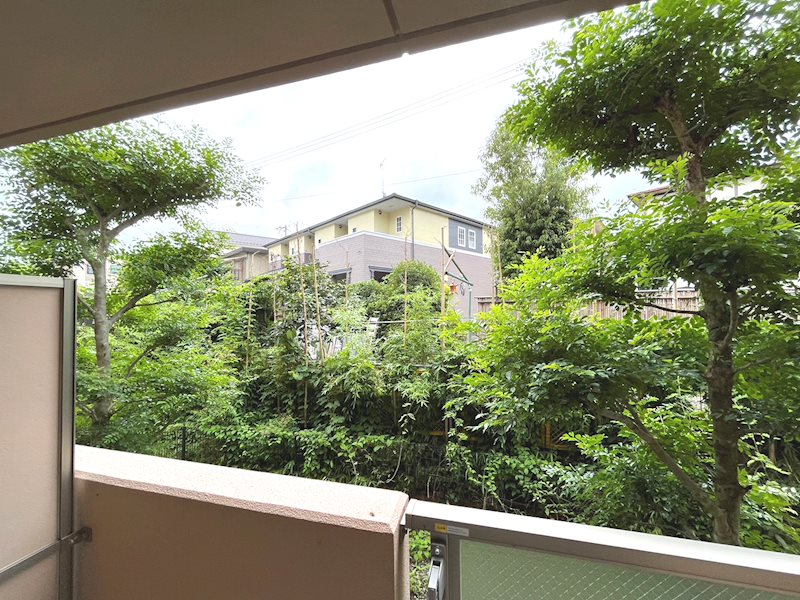 ベルヌーブ森神Ⅵ その他8