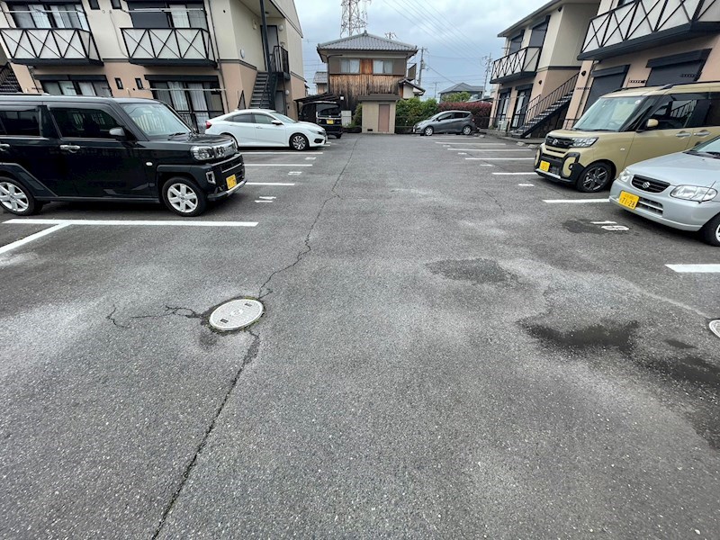 フォレスト その他5