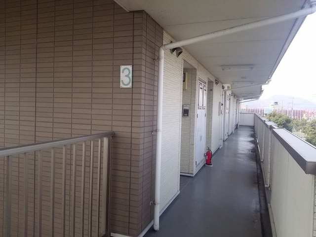 Ｋ&amp;rsquo;ｓ　ｃｒｅｗ その他7