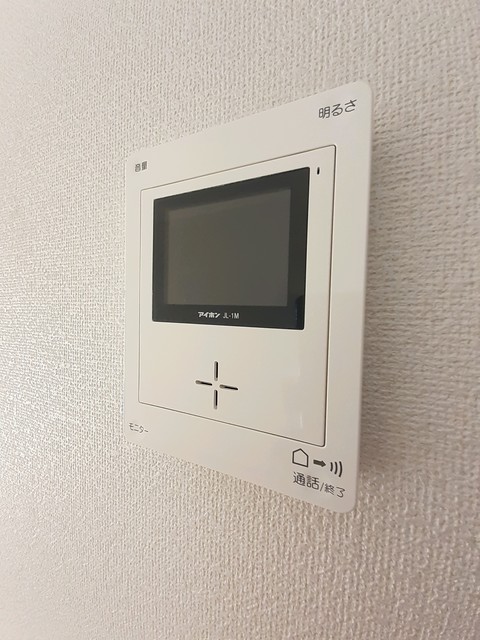 Ｅｖｅｒ　Ｇｒｅｅｎ　Ｆｕｊｉ その他6