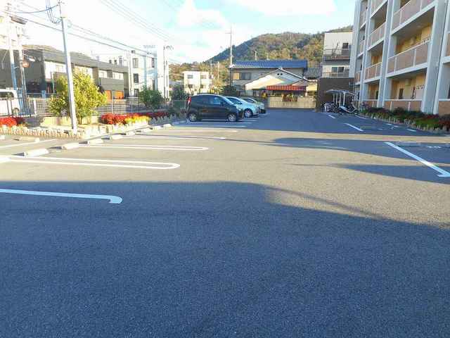 Ｅｖｅｒ　Ｇｒｅｅｎ　Ｆｕｊｉ その他2