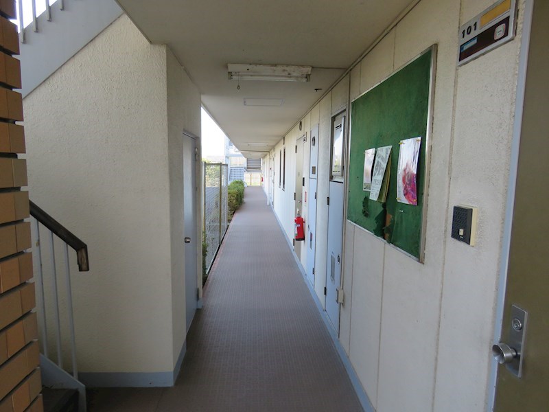 トップペアー福甚No1 その他外観3