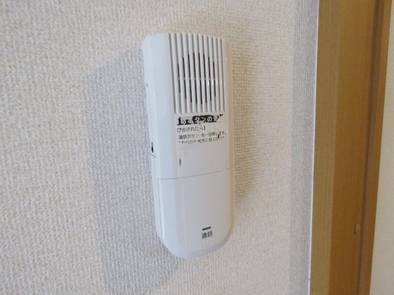 レキュリーブルー　 その他3