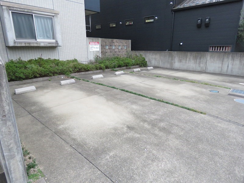 レキュリーブルー　 その他6