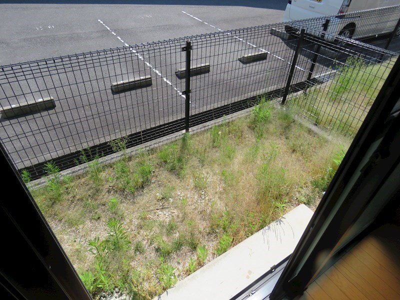 Bonheur Branche A その他3