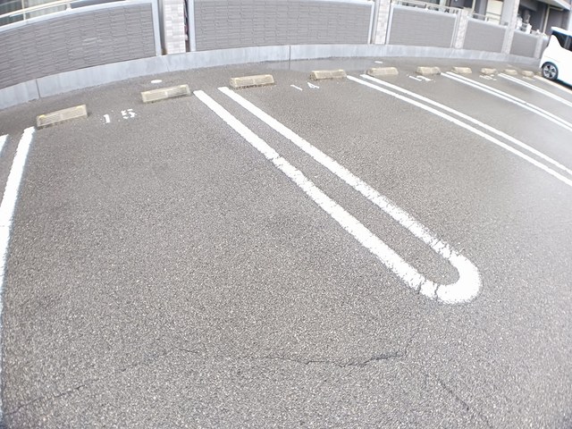 ラ　プレミエ－ル　エトワ－ル その他4