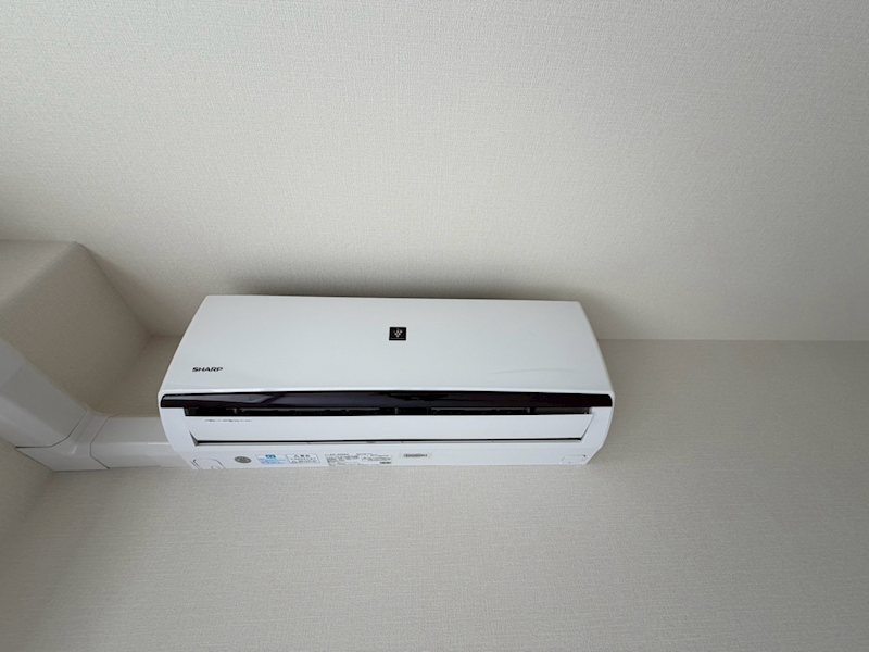 オリーブ その他7