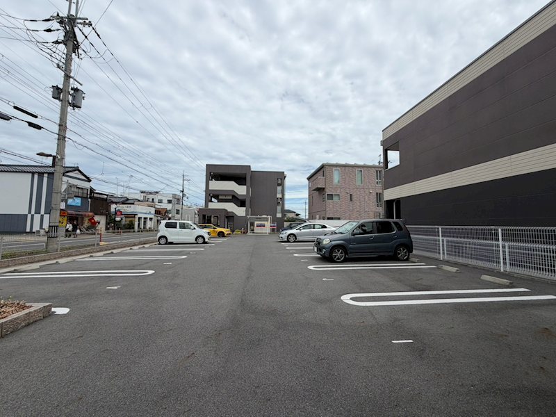 オリーブ その他1