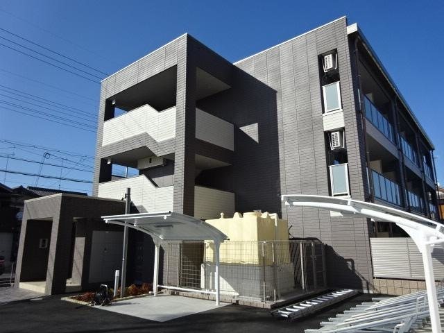 オリーブ その他1