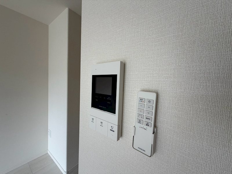 オリーブ その他5