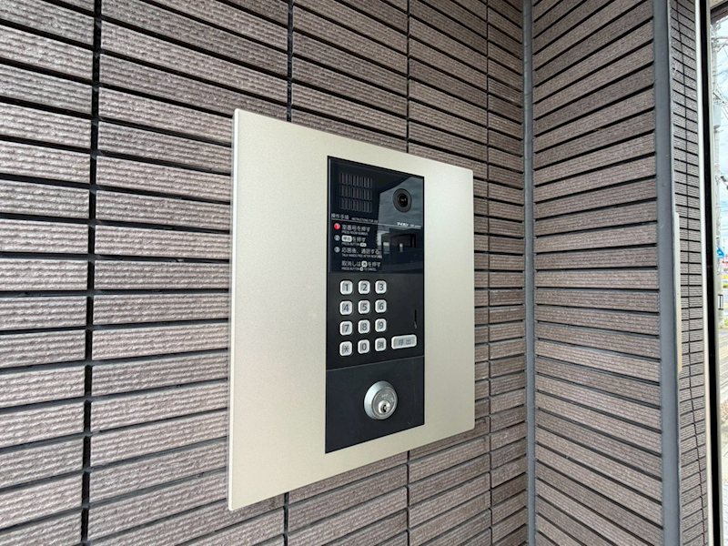 オリーブ その他9