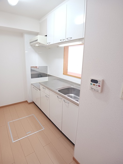 エルグランデ奥村Ⅲ キッチン