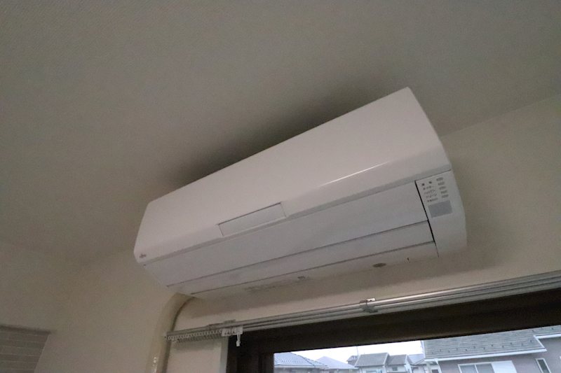 ダンデライオン その他10