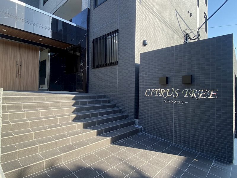 CITRUS TREE その他外観1