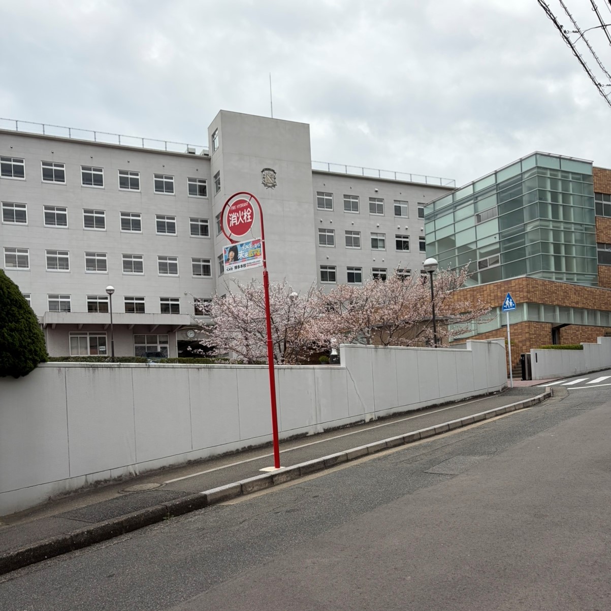 プレミスト平尾浄水オークハウス 中学校