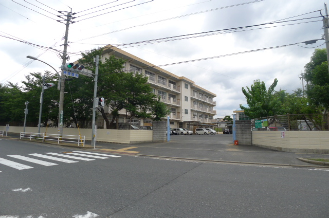 緑光苑マンション 小学校