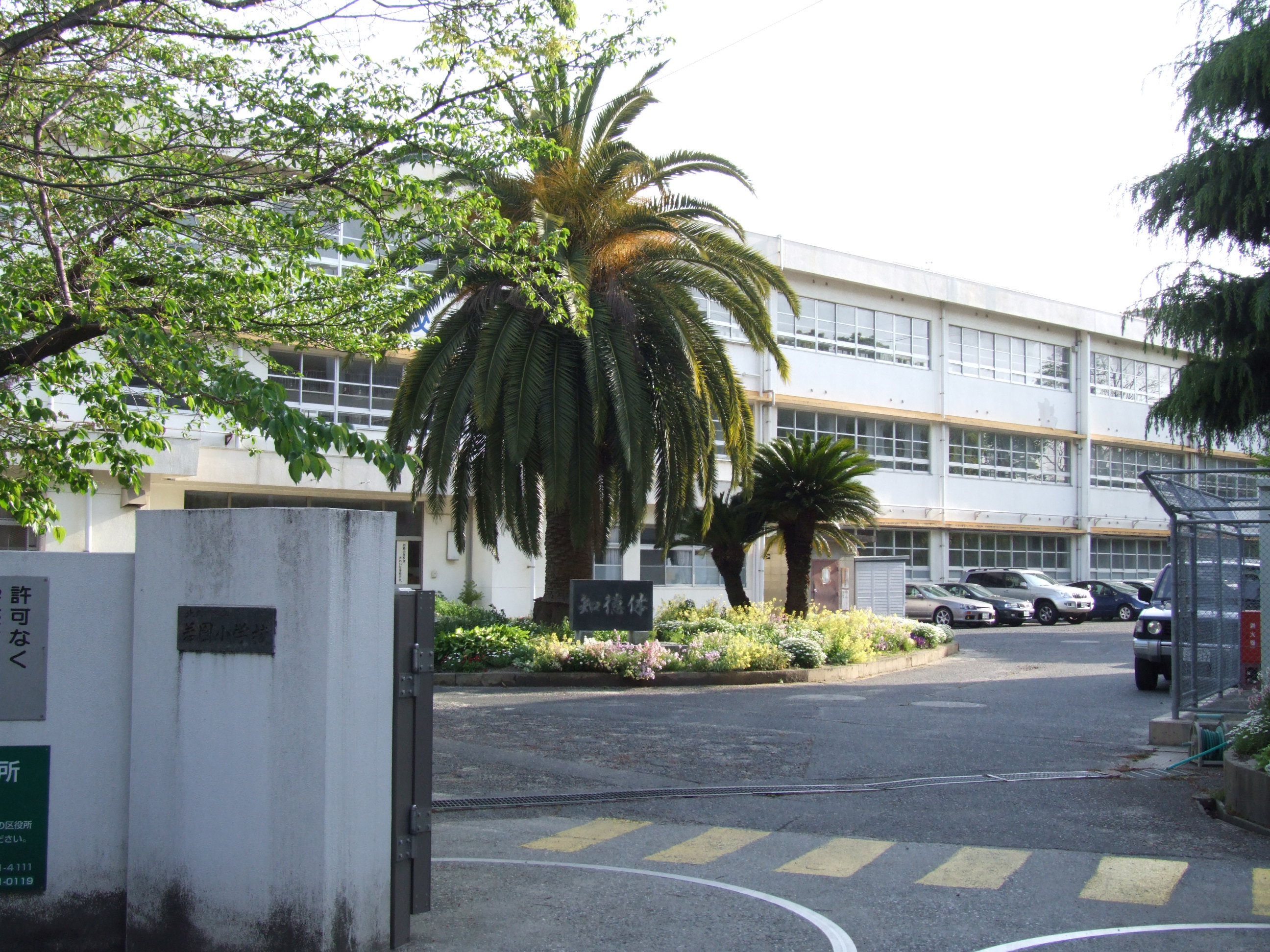 ハイネス若園 小学校