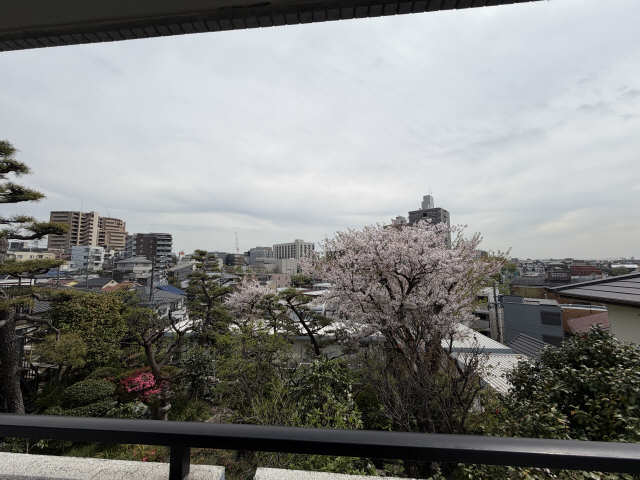真々山房 その他