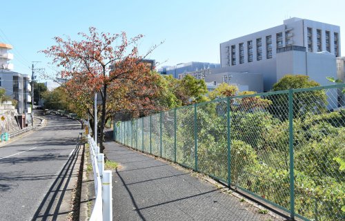 ハイツサイトウ その他